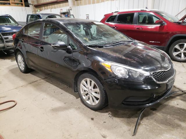 KIA FORTE LX 2014 knafx4a69e5171109