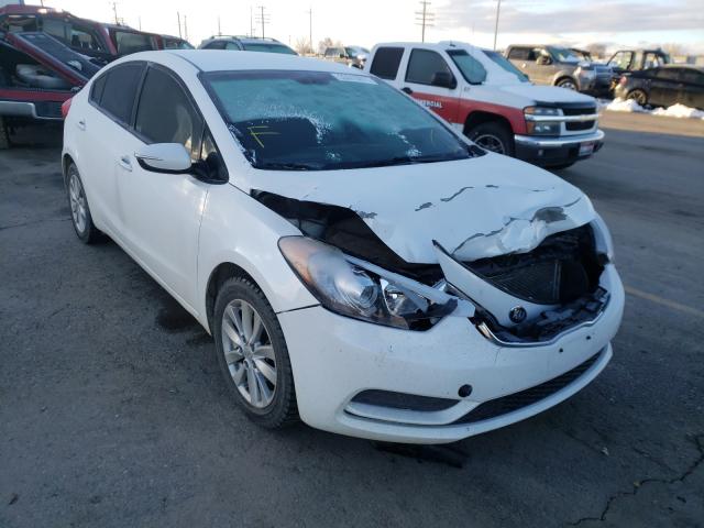 KIA FORTE LX 2014 knafx4a69e5227677