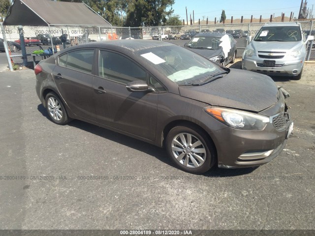 KIA FORTE 2014 knafx4a69e5234399