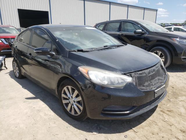 KIA FORTE LX 2014 knafx4a69e5234791