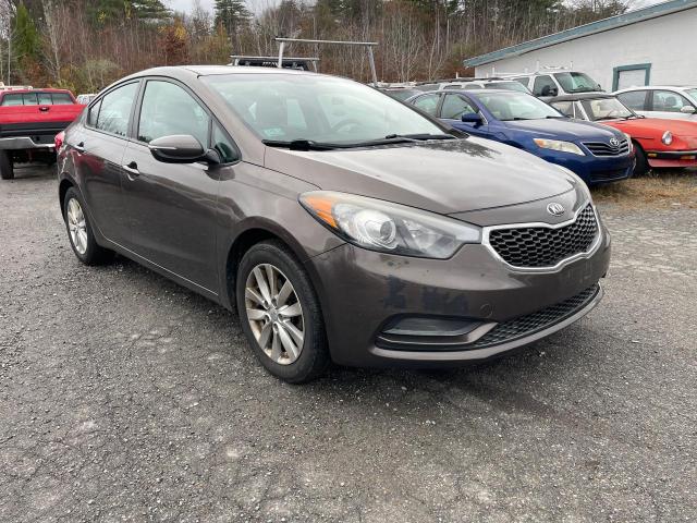 KIA FORTE 2014 knafx4a69e5236069