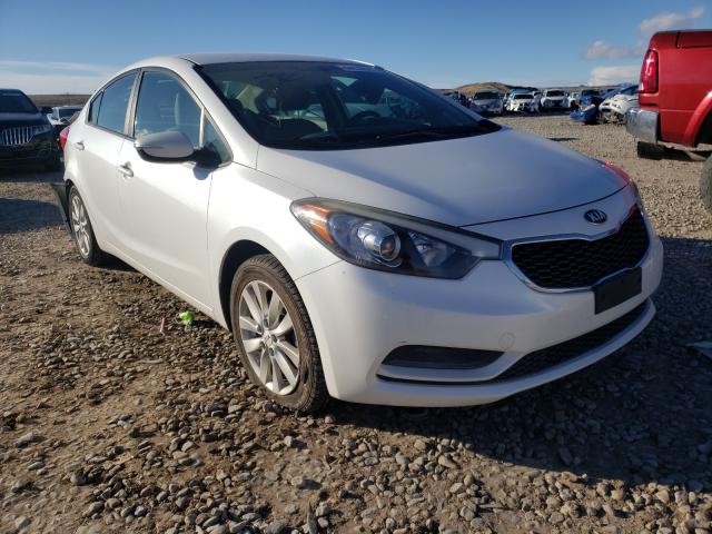 KIA FORTE LX 2014 knafx4a69e5240073