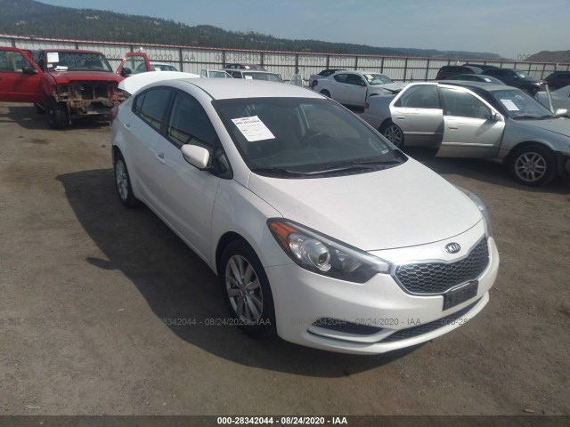 KIA FORTE 2014 knafx4a69e5240879