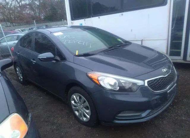 KIA FORTE 2015 knafx4a69f5334326