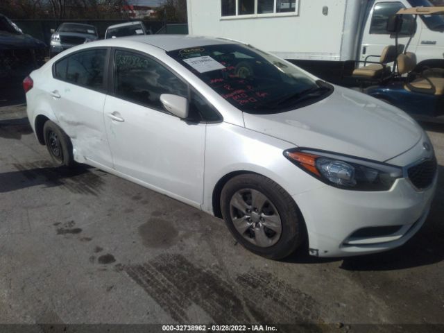 KIA FORTE 2015 knafx4a69f5341020