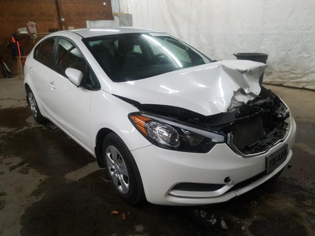 KIA NULL 2015 knafx4a69f5418419