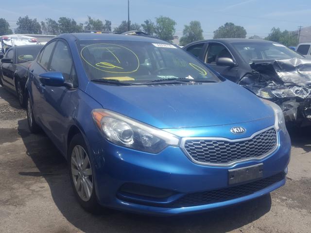 KIA NULL 2014 knafx4a6xe5138412