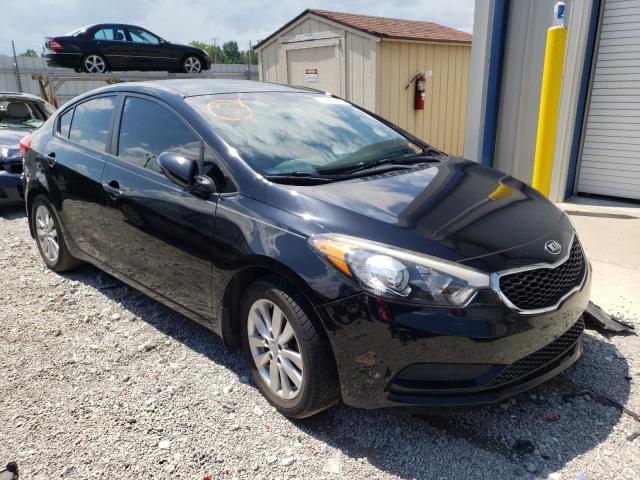 KIA FORTE LX 2014 knafx4a6xe5175010