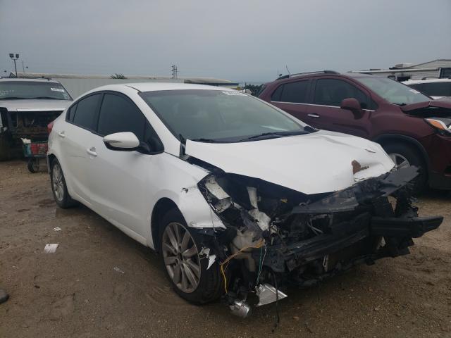 KIA FORTE LX 2014 knafx4a6xe5203940