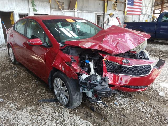 KIA FORTE LX 2014 knafx4a6xe5204571