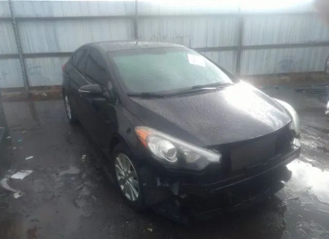 KIA FORTE 2015 knafx4a6xf5256154