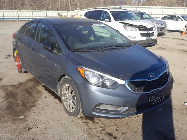 KIA FORTE 2015 knafx4a6xf5256431