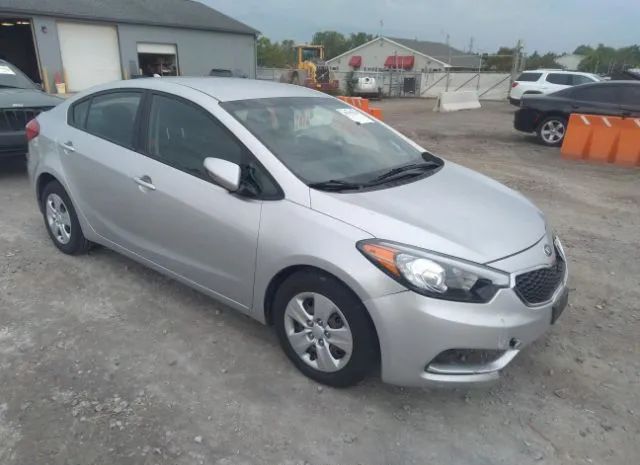 KIA FORTE 2015 knafx4a6xf5291549