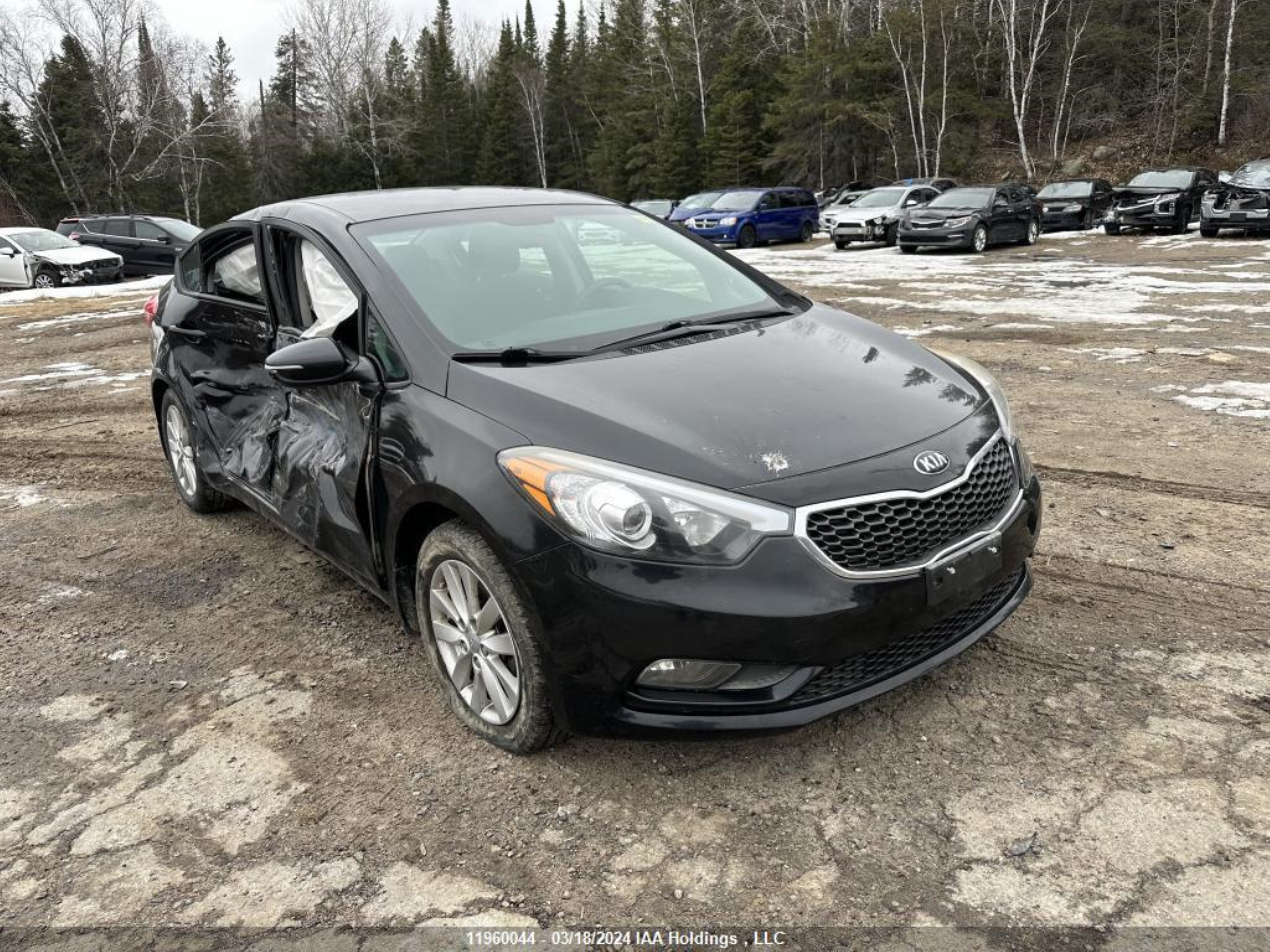 KIA FORTE 2015 knafx4a6xf5334707