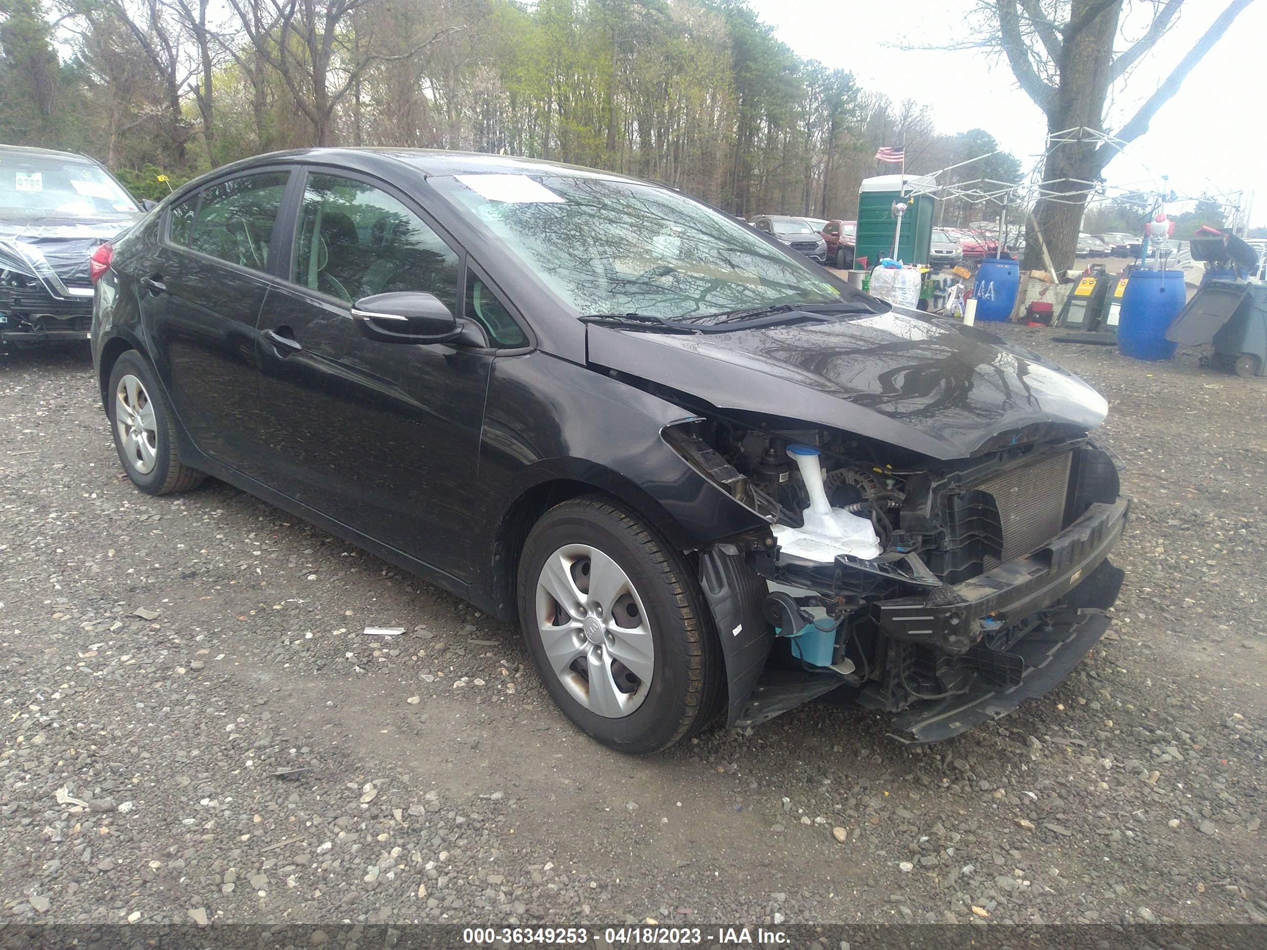 KIA FORTE 2016 knafx4a6xg5498296