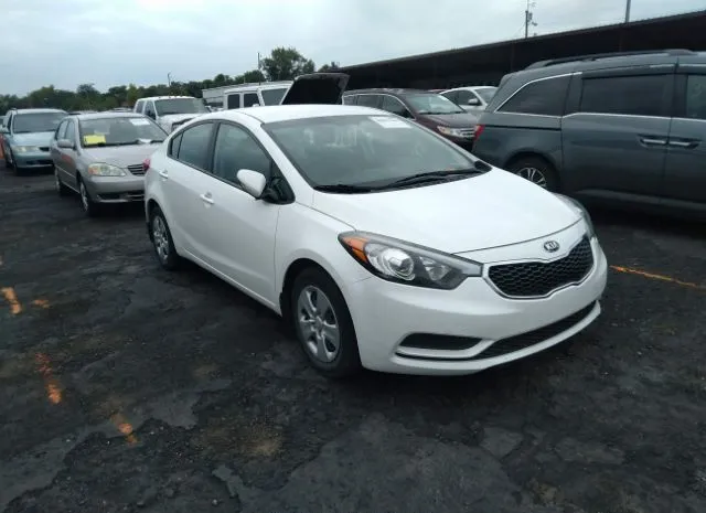 KIA FORTE 2016 knafx4a6xg5523827