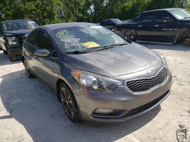 KIA FORTE EX 2014 knafx4a80e5083731