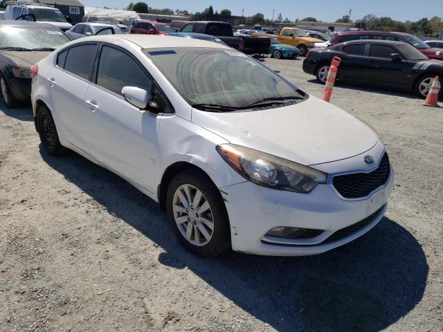 KIA FORTE EX 2014 knafx4a80e5115531