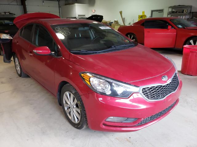 KIA FORTE EX 2014 knafx4a80e5120373