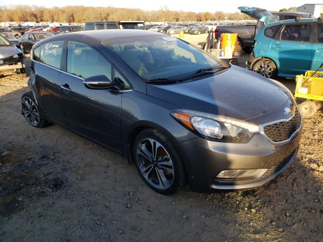 KIA FORTE EX 2014 knafx4a81e5083723