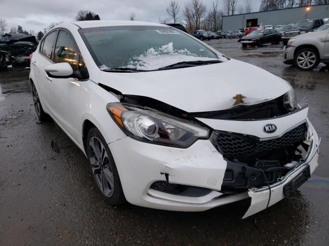 KIA FORTE EX 2014 knafx4a81e5099288