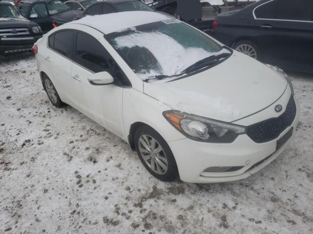 KIA FORTE EX 2014 knafx4a82e5053534