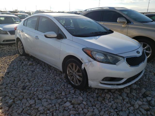 KIA FORTE EX 2014 knafx4a82e5119838