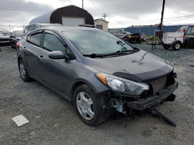 KIA FORTE EX 2014 knafx4a82e5193647