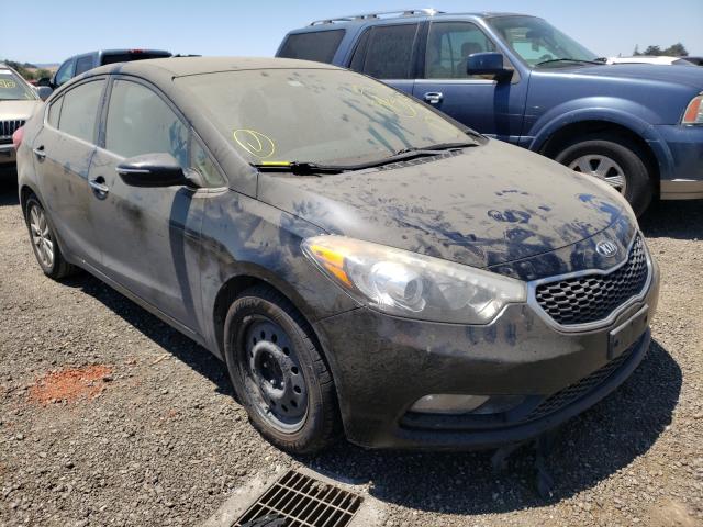 KIA FORTE EX 2014 knafx4a82e5198699