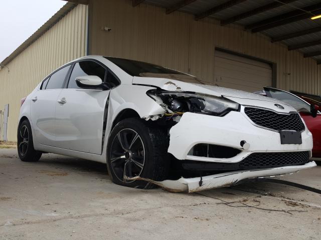 KIA FORTE EX 2014 knafx4a83e5049640