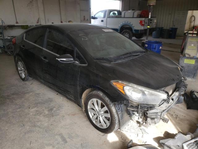 KIA FORTE EX 2014 knafx4a83e5054224