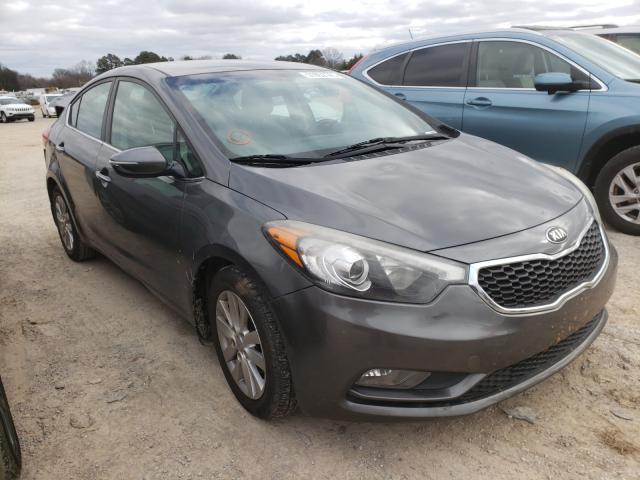 KIA FORTE EX 2014 knafx4a83e5088213