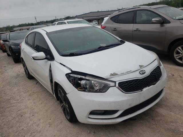 KIA FORTE EX 2014 knafx4a83e5099695