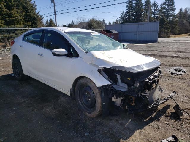 KIA FORTE EX 2014 knafx4a83e5247084