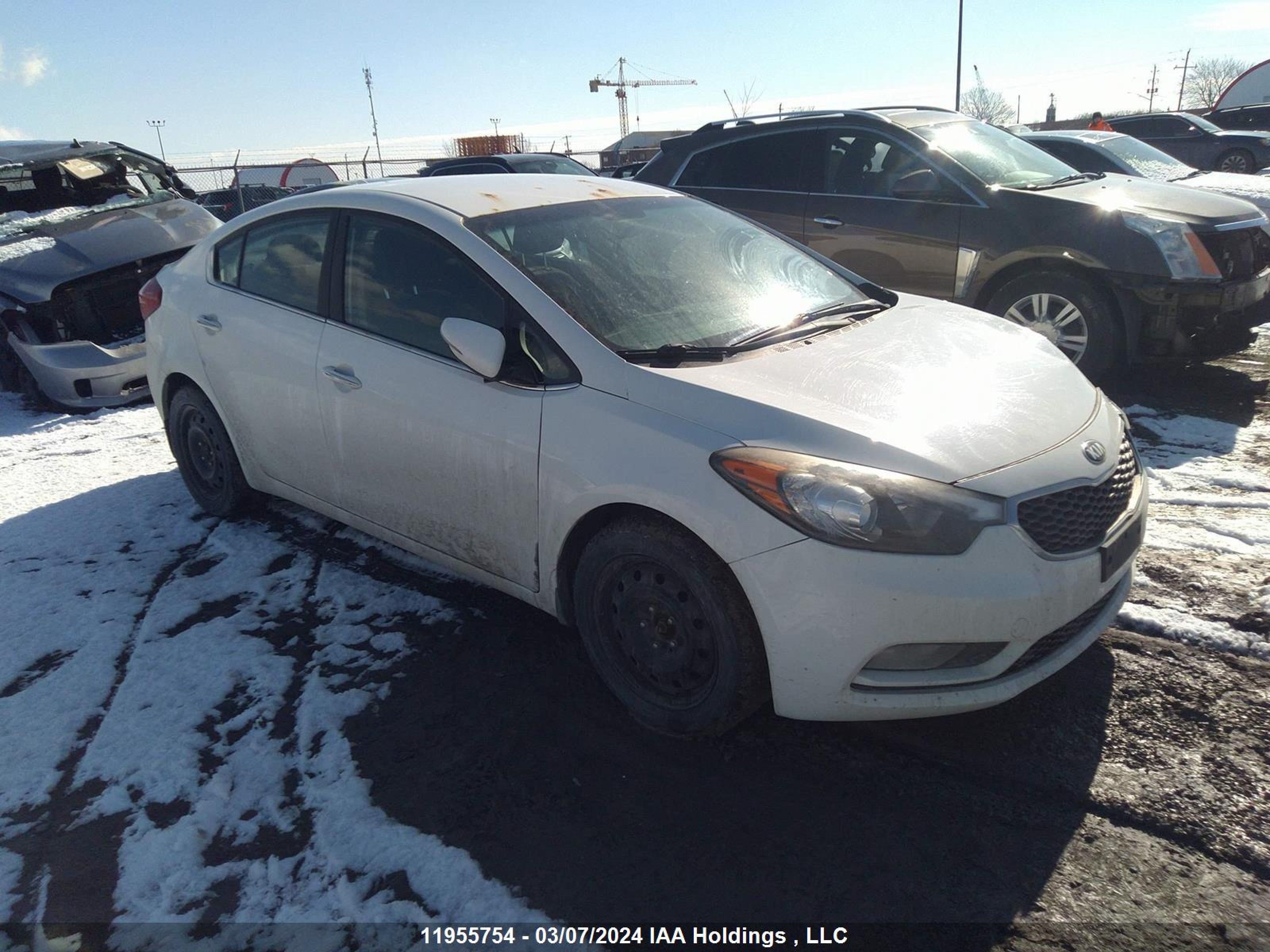 KIA FORTE 2014 knafx4a83e5249806