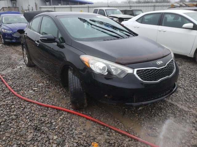 KIA FORTE EX 2014 knafx4a84e5055415