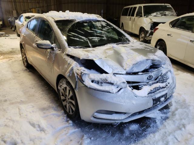 KIA FORTE EX 2014 knafx4a84e5198882