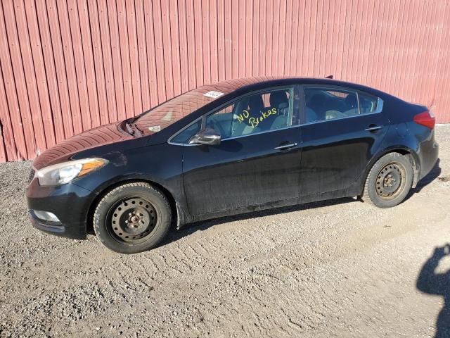 KIA FORTE 2014 knafx4a84e5230116