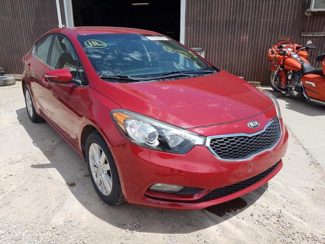 KIA FORTE EX 2014 knafx4a85e5050787