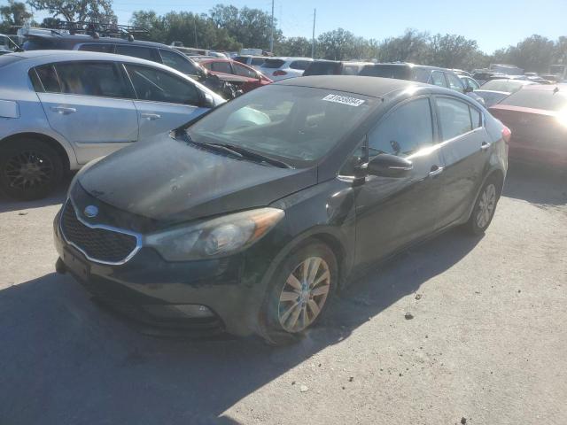 KIA FORTE EX 2014 knafx4a85e5051213