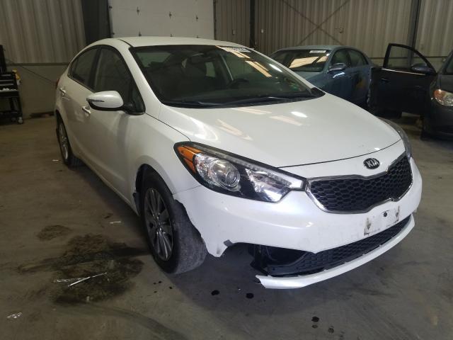 KIA FORTE EX 2014 knafx4a85e5052541