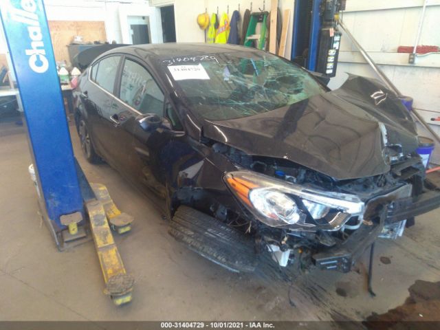 KIA FORTE 2014 knafx4a85e5206410