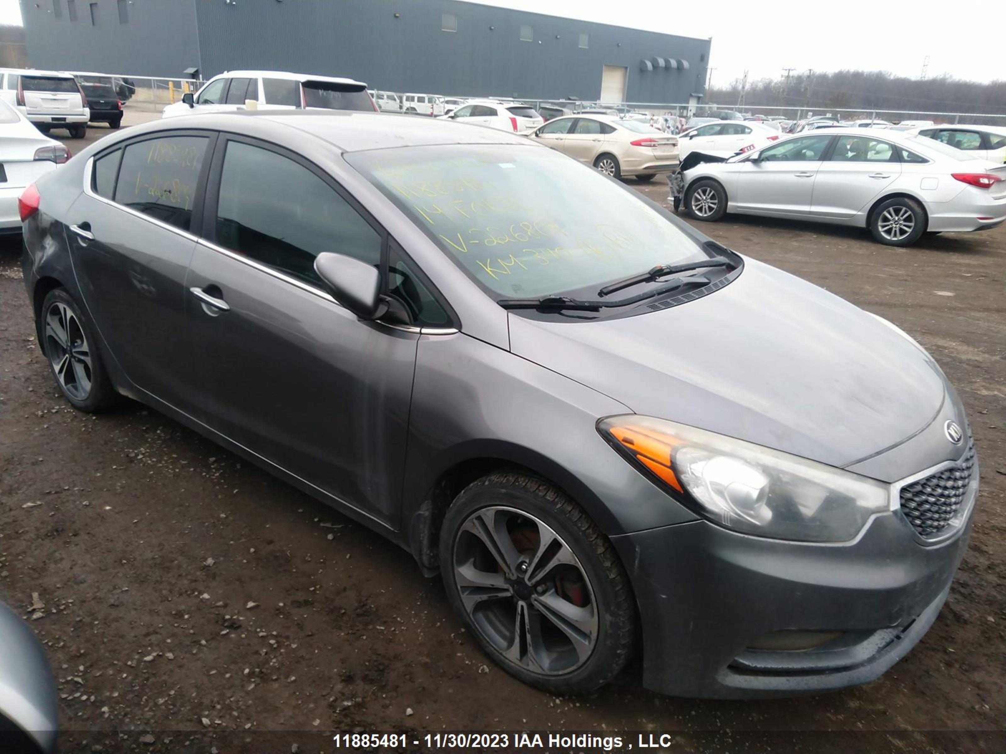 KIA FORTE 2014 knafx4a85e5226804