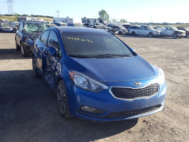 KIA FORTE EX 2014 knafx4a85e5238774