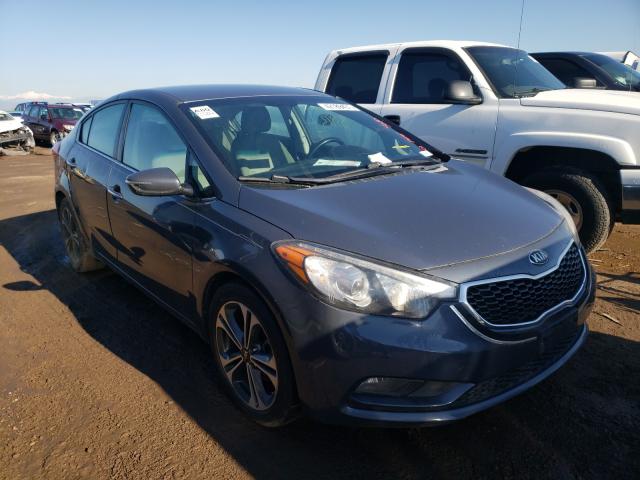 KIA FORTE EX 2014 knafx4a86e5068893