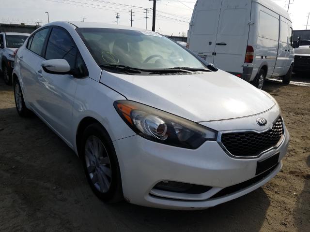 KIA FORTE EX 2014 knafx4a87e5113128