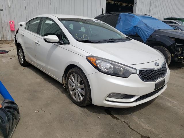 KIA FORTE EX 2014 knafx4a88e5106527