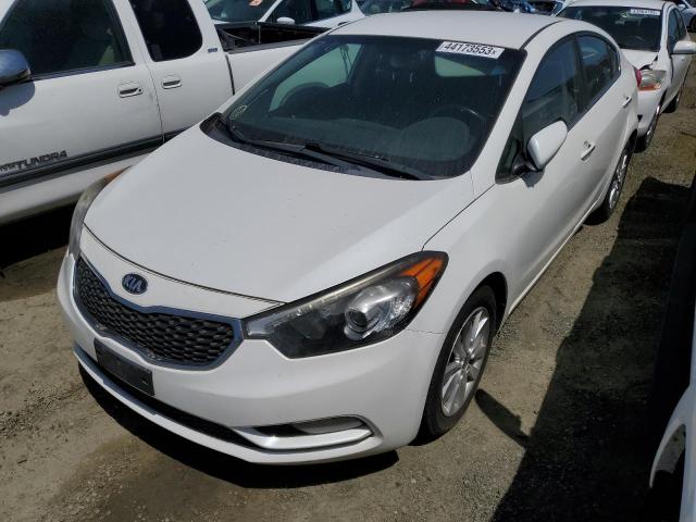 KIA FORTE EX 2014 knafx4a88e5116491