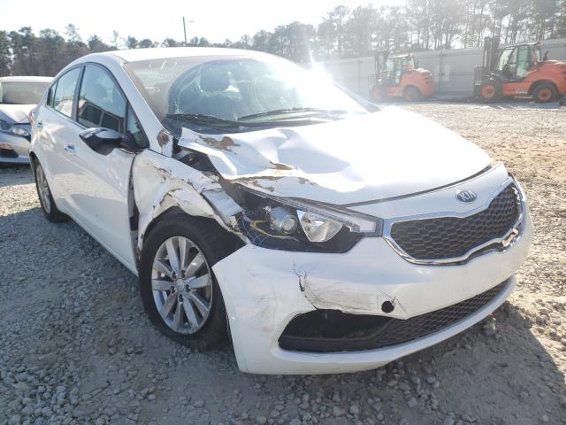 KIA FORTE EX 2015 knafx4a88f5336991