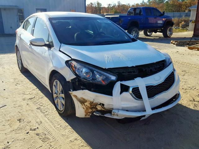 KIA FORTE EX 2014 knafx4a89e5050436